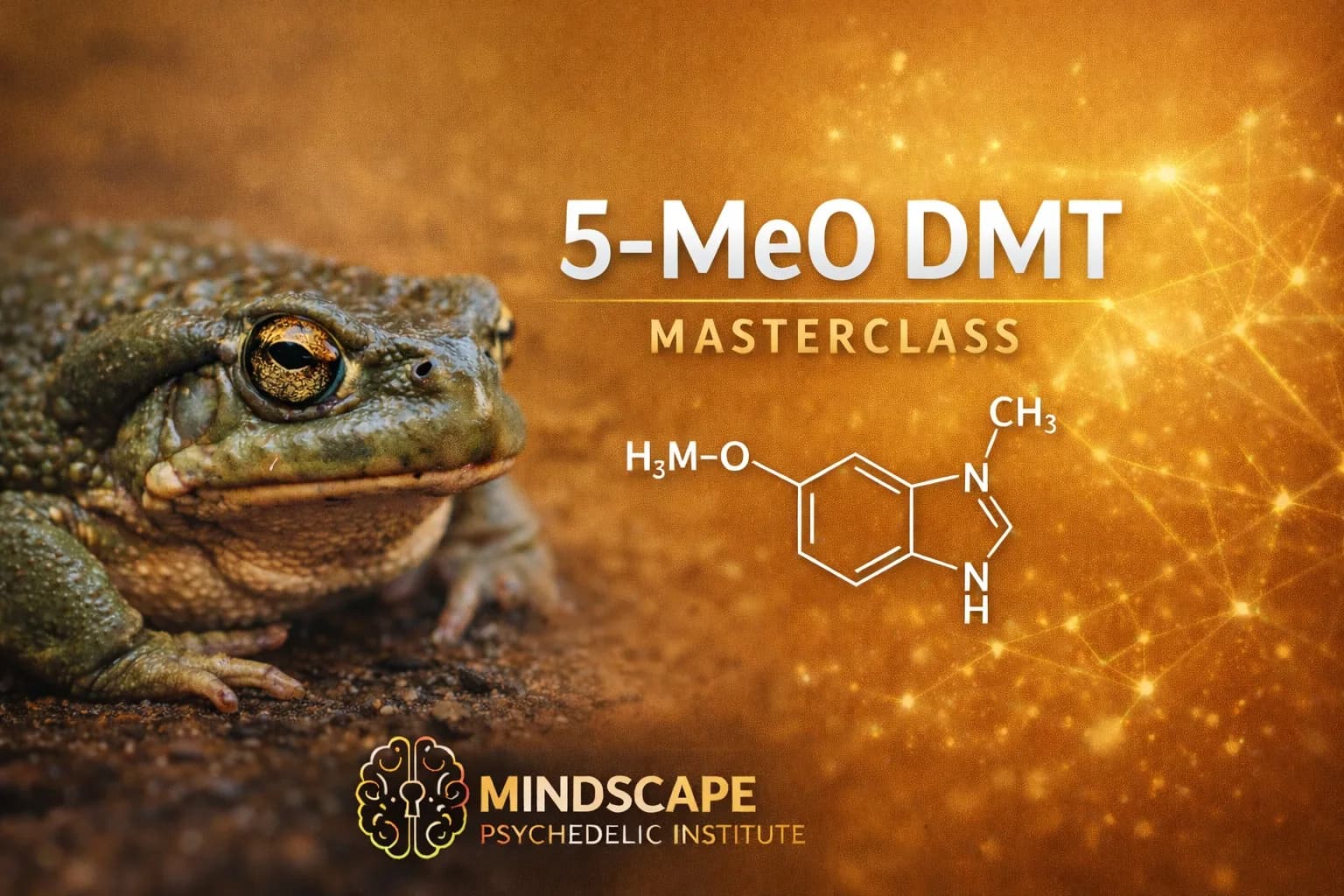 5-MeO-DMT / Bufo Masterclass
